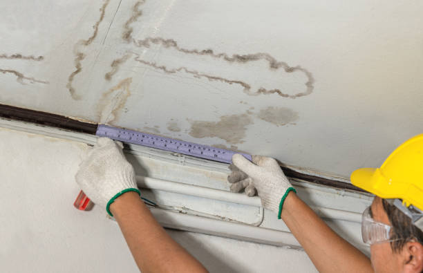 Reliable Water Damage Repair contractor in West Springfield, VA by Aqua Guard Water Damage